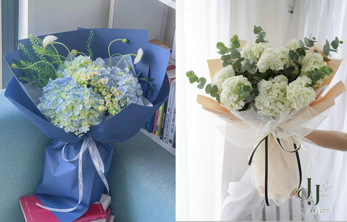 Hoa cẩm tú cầu đẹp, tỏ tình người mình thương phù hợp