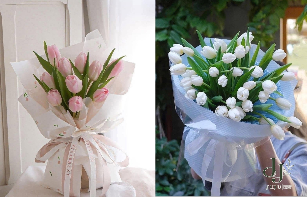 Mẫu hoa tulip đẹp nên mua nhất 