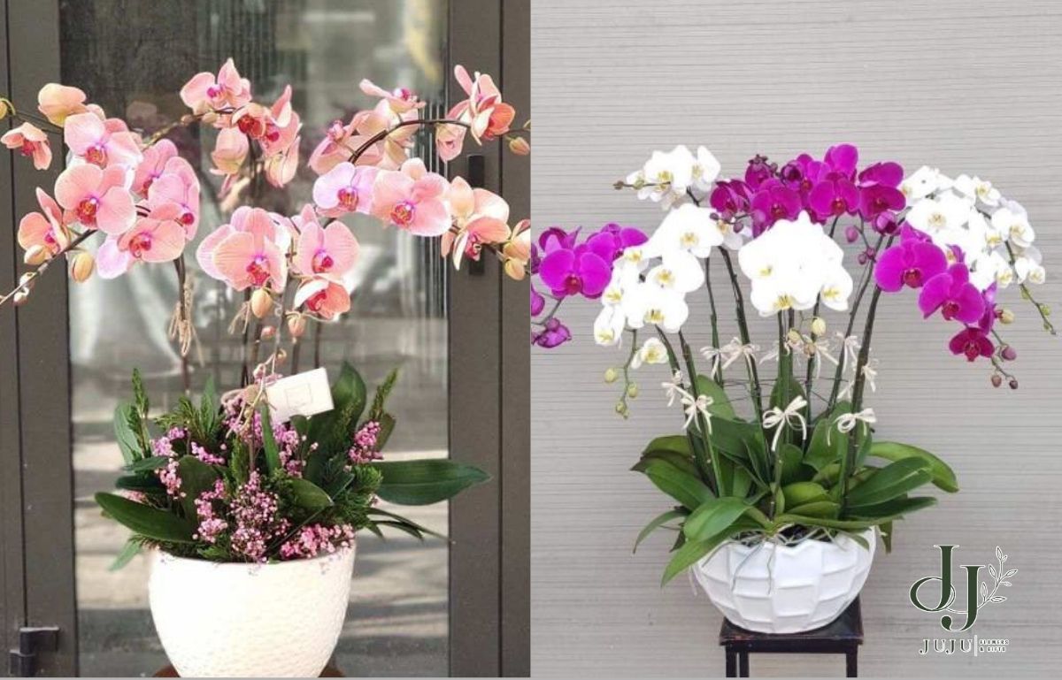 Tặng hoa cho nam ở trong công việc