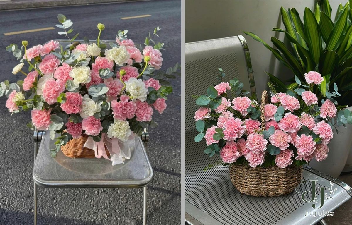 Giỏ hoa cẩm chướng đẹp, sang trọng